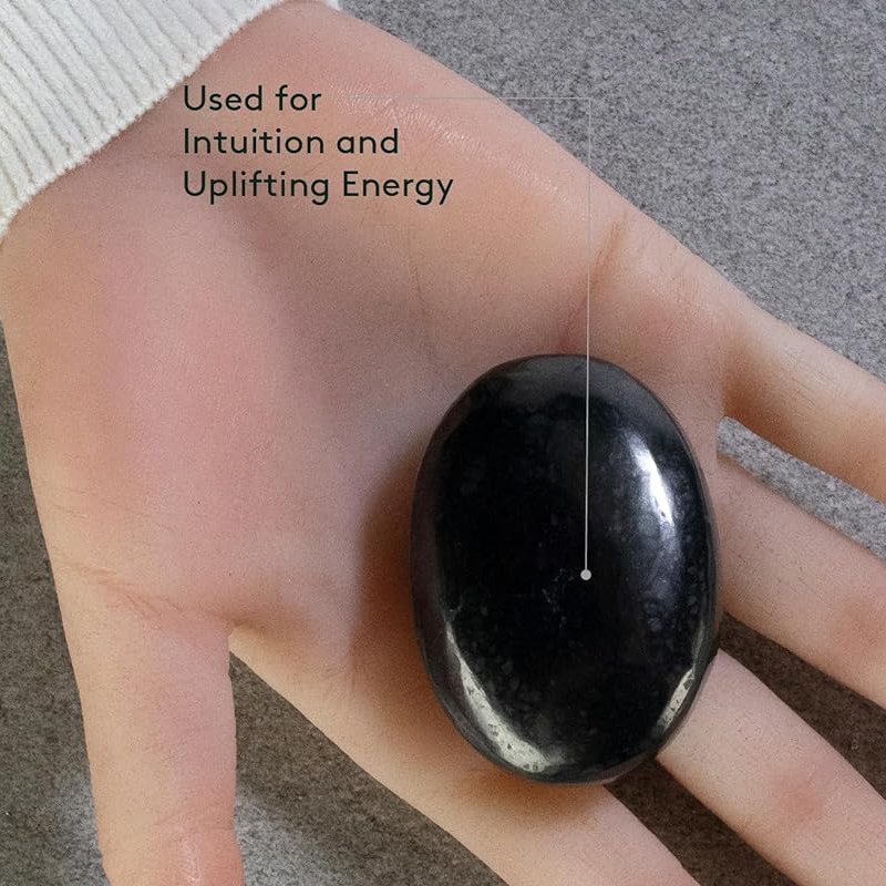 Shungite Palm Stone-1