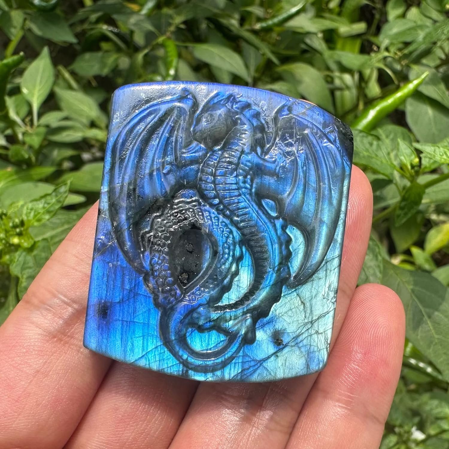 Natural labradorite Hand Carved Fly Dragon Crystal